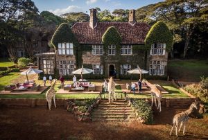 Туры на Усадьбу жирафов - Giraffe Manor, Кения