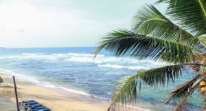 Шри Ланка из Киева Hansa Surf Hotel (ex. Polina Beach Resort)