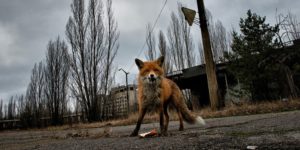 Trip to Chernobyl Zone