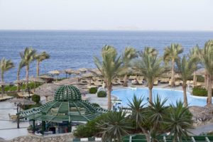 Новогодние туры в Египет. Coral Beach Tiran Resort