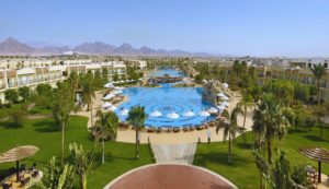 Новогодние туры в Египет. Hilton Sharks Bay