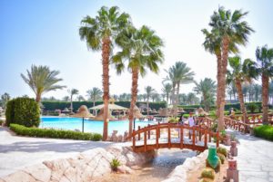 Новый Год в Шарме. Parrotel Aqua Park Resort