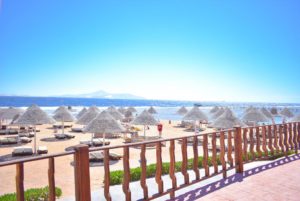 Туры в Египет на Новый Год. Parrotel Aqua Park Resort