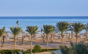 Раннее бронирование туров в Шарм. Coral Sea WaterWorld
