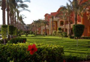 Туры в Sharm Plaza (Ex. Crowne Plaza Resort)